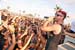 %papeete beach%
