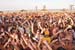 %papeete beach%
