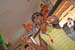 %papeete beach%